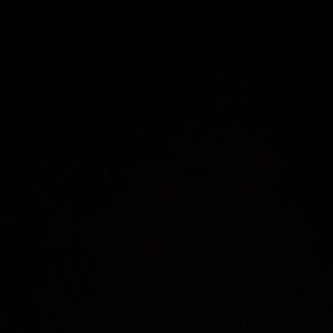 Meet your Posher, Karolen